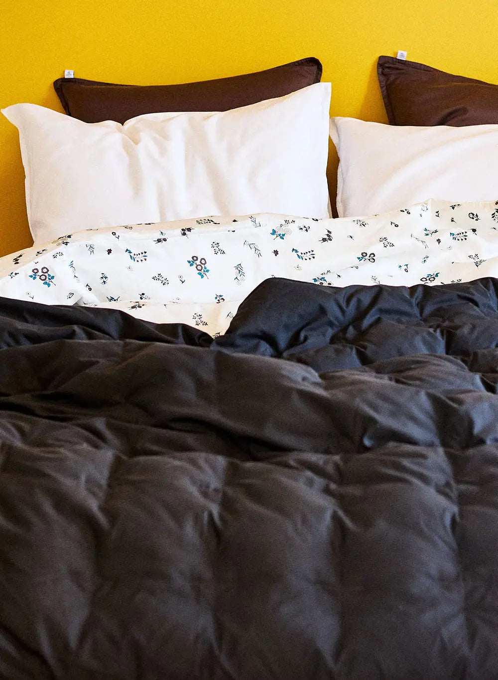 Caresse Carbon Blanket