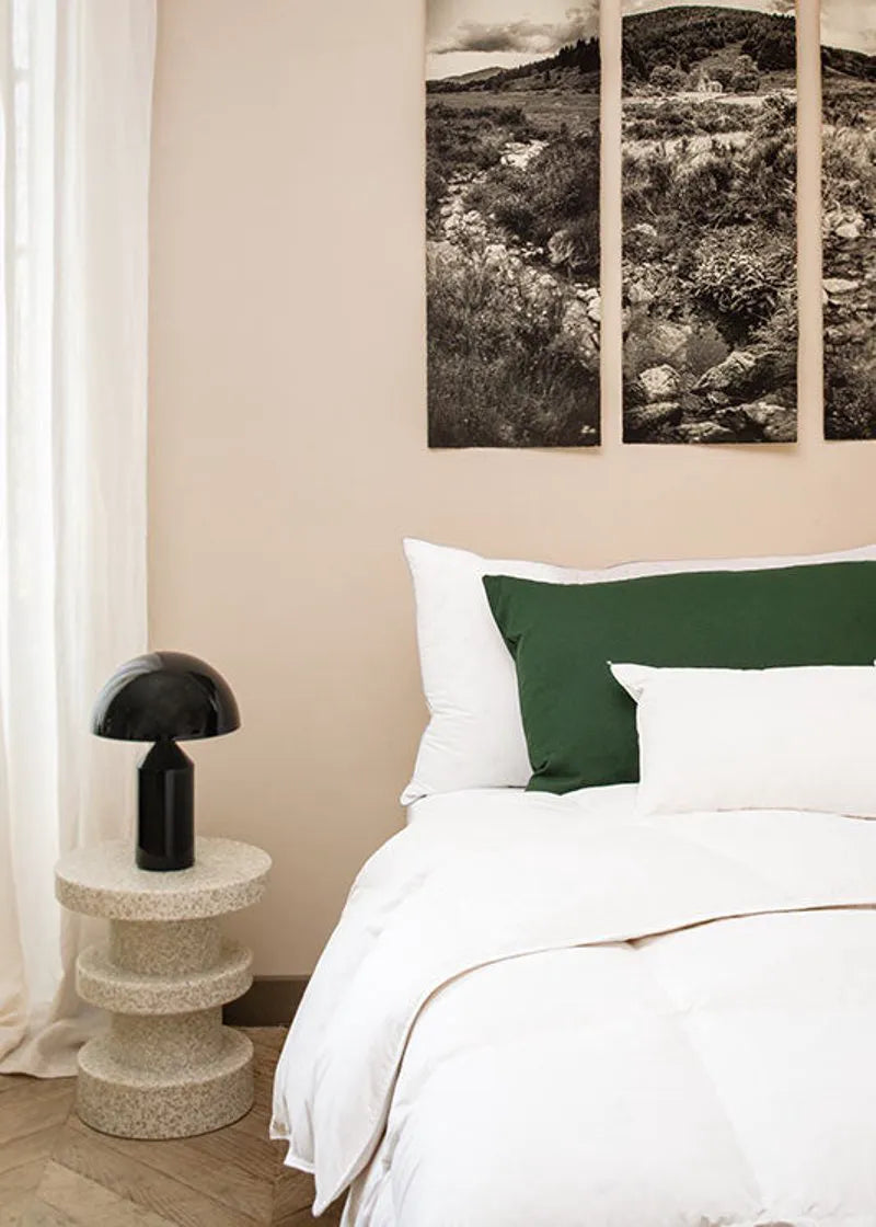 Bayonne anti-mite Greenfirst® duvet