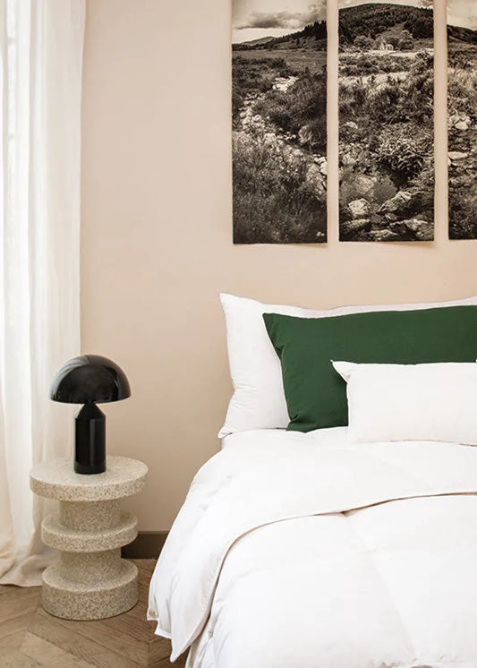 Bayonne anti-mite Greenfirst® duvet